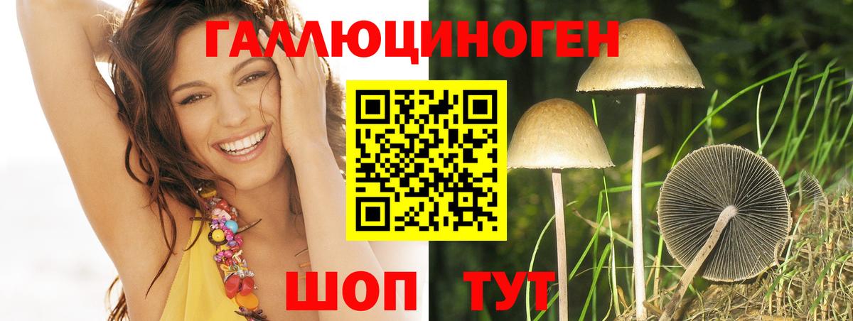 Псилоцибиновые грибы мухоморы Таганрог